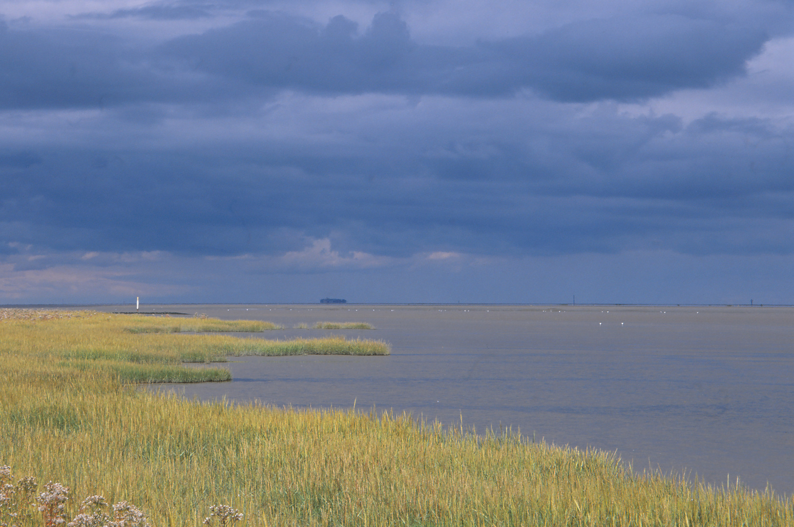 Spätsommer Nordsee #3