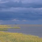 Spätsommer Nordsee #3