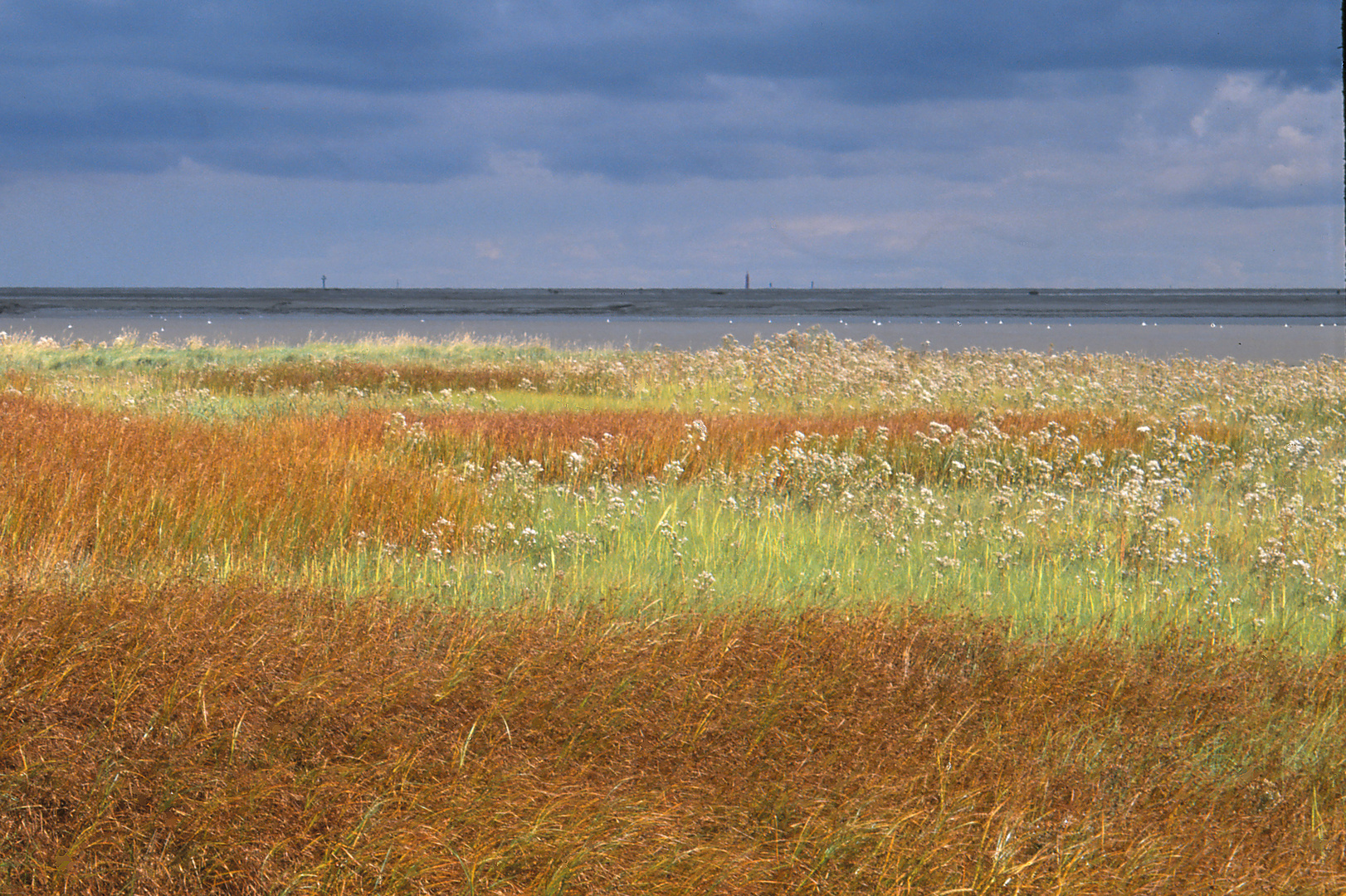 Spätsommer Nordsee#1