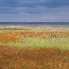 Spätsommer Nordsee#1