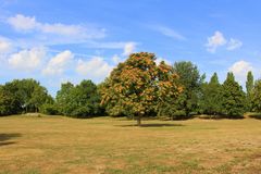 Spätsommer oder ein Hauch von Hebst