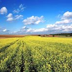 Spätsommer oder Frühherbst ?