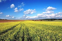 Spätsommer oder Frühherbst ?