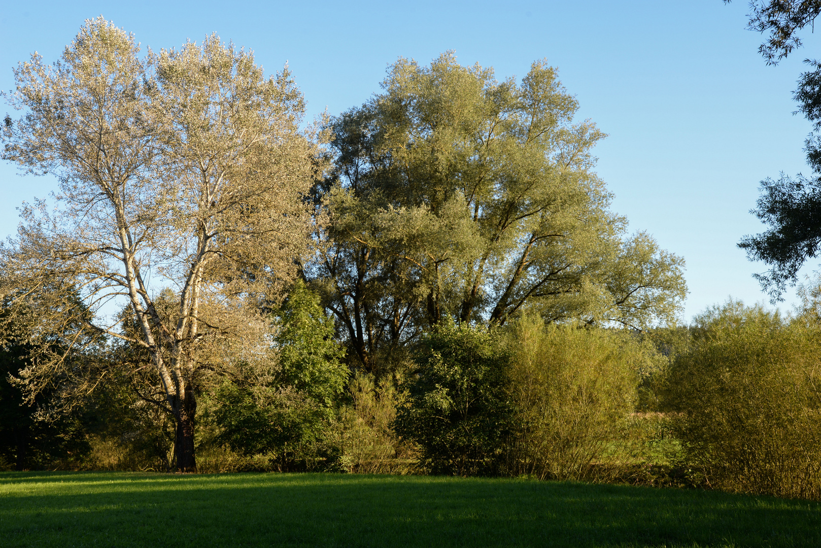 Spätsommer oder Frühherbst !