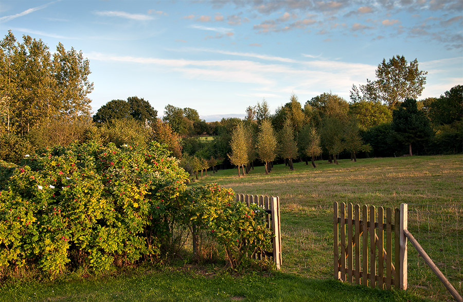 Spätsommer Roncey ( Normandie )