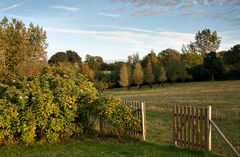 Spätsommer Roncey ( Normandie )