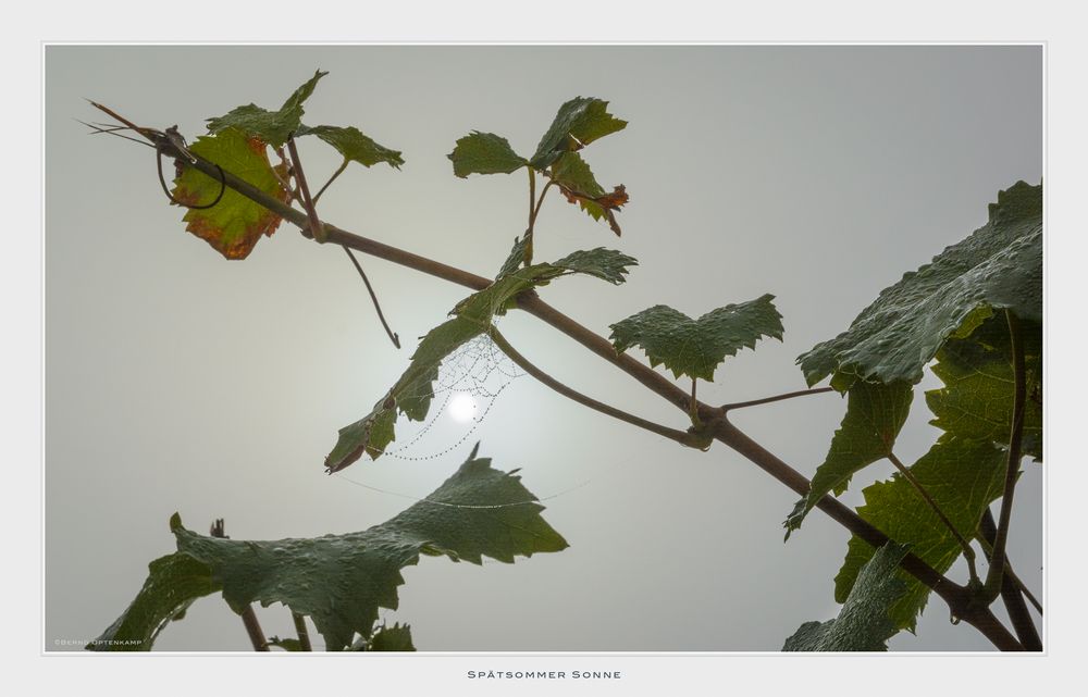 Spätsommer Sonne