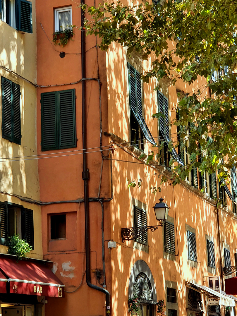 "Spätsommer-Stimmung"