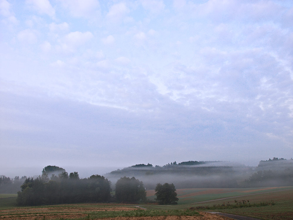 Spätsommer Stimmung im Maintal