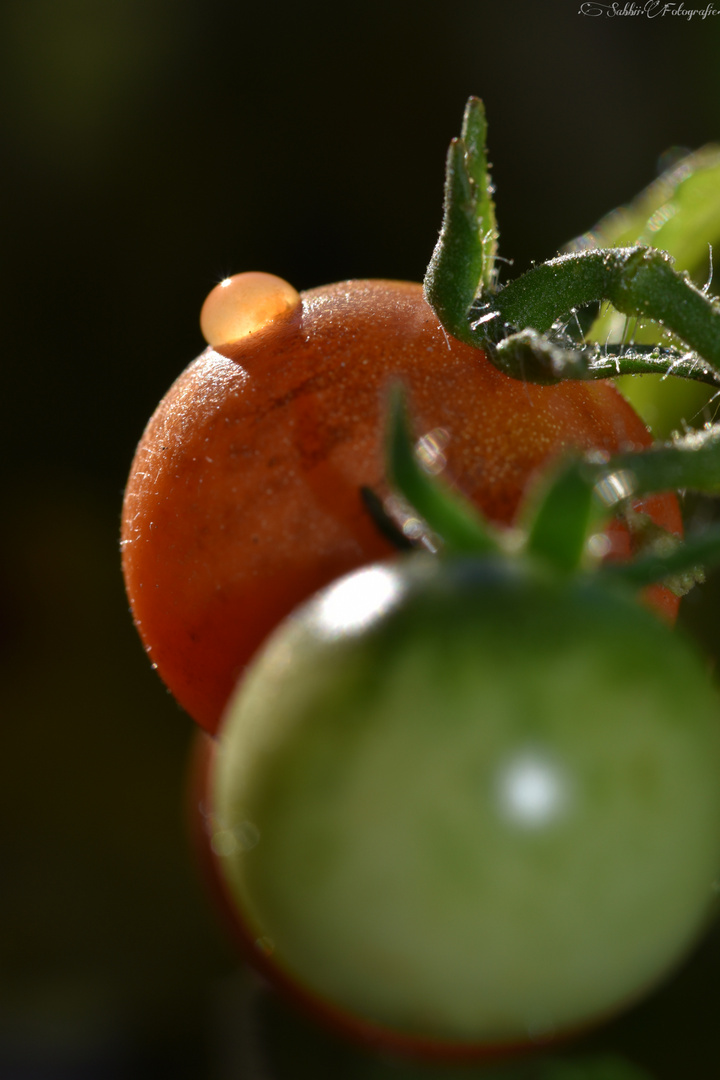 Spätsommer Tomate ;) 