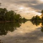 Spätsommer -Träumerei am Rhein 