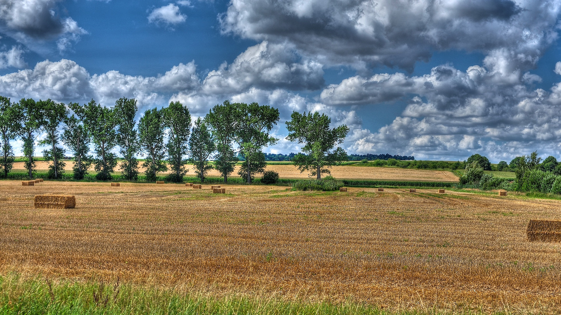 Spätsommer V