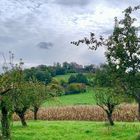 SpätSommer versus FrühHerbst