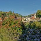 Spätsommer wunderbar 