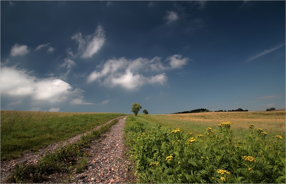 Spätsommer zuHause