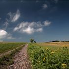 Spätsommer zuHause