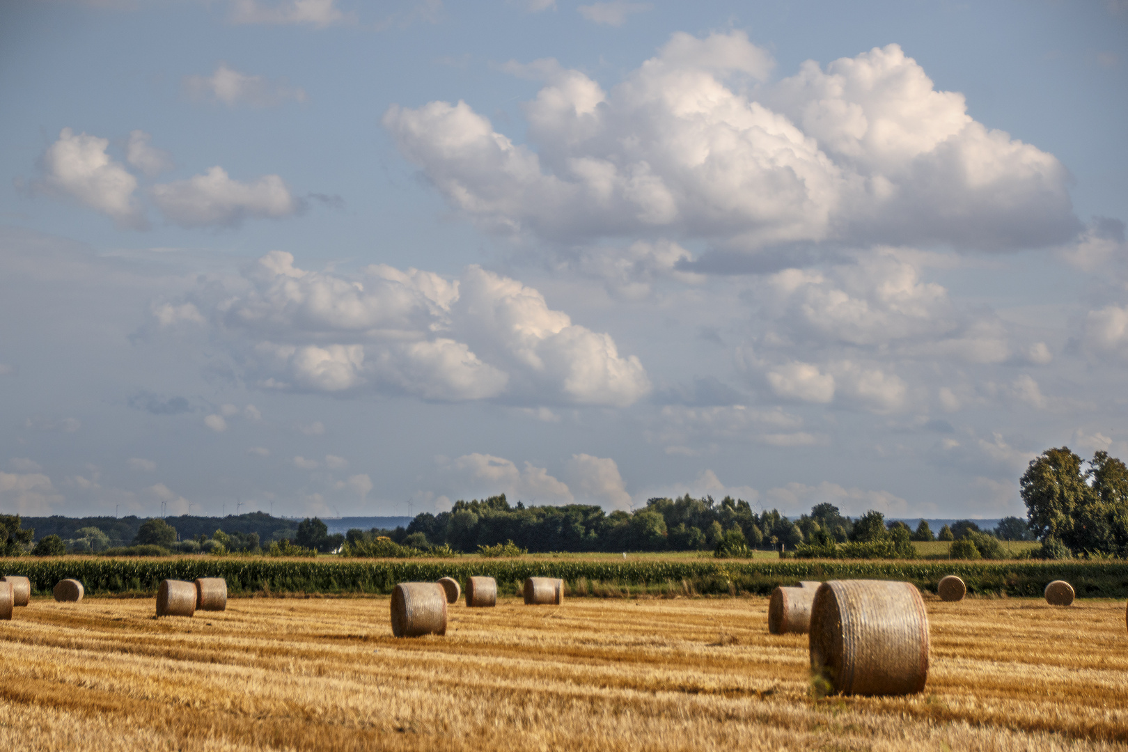 Spätsommer_6170