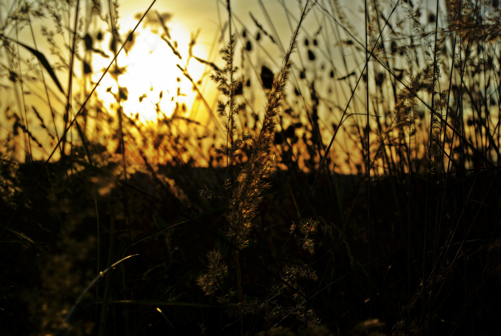 Spätsommerabend......