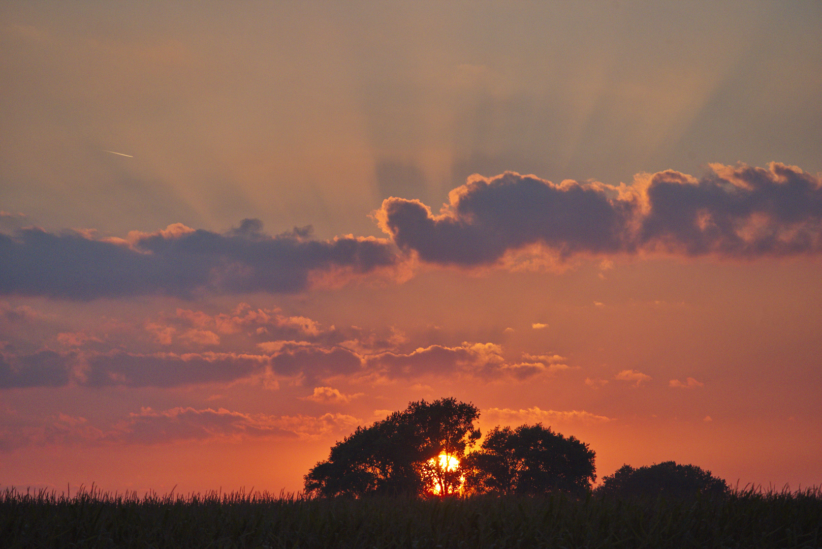 Spätsommerabend 