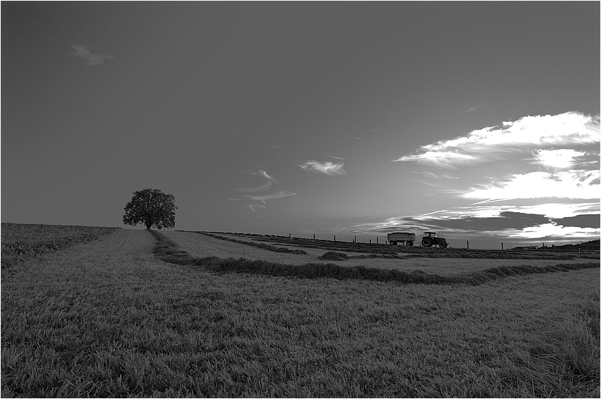 - Spätsommerabend -