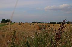 Spätsommerabend