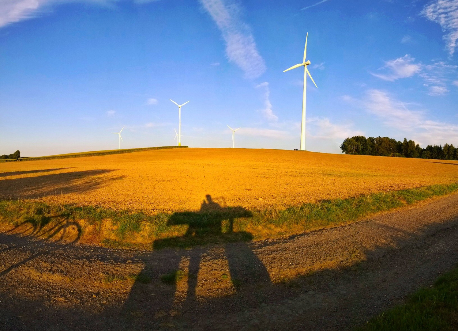 Spätsommerabend :-)