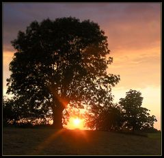 Spätsommerabend