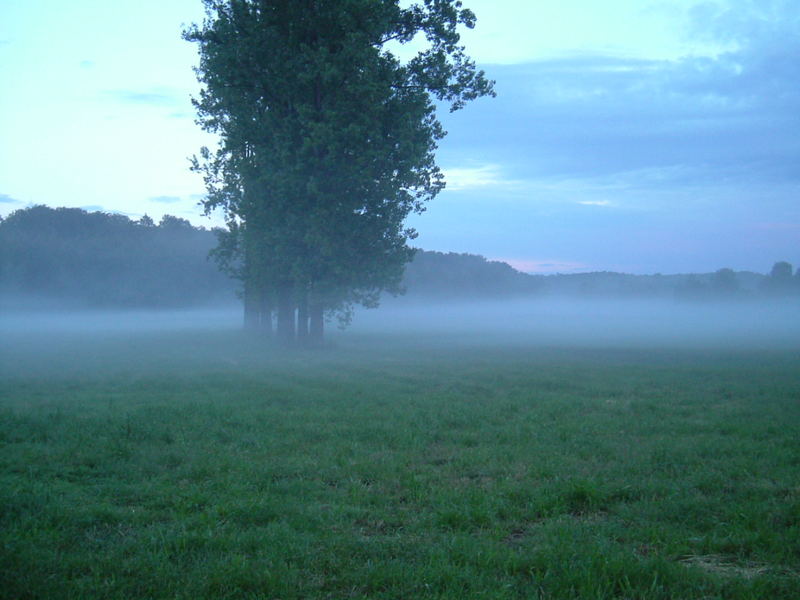 Spätsommerabend