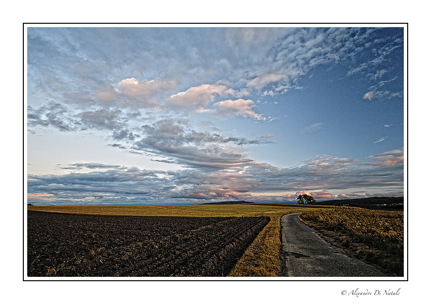 - Spätsommerabend -