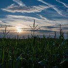 Spätsommerabend die Sonne verabschiedet sich