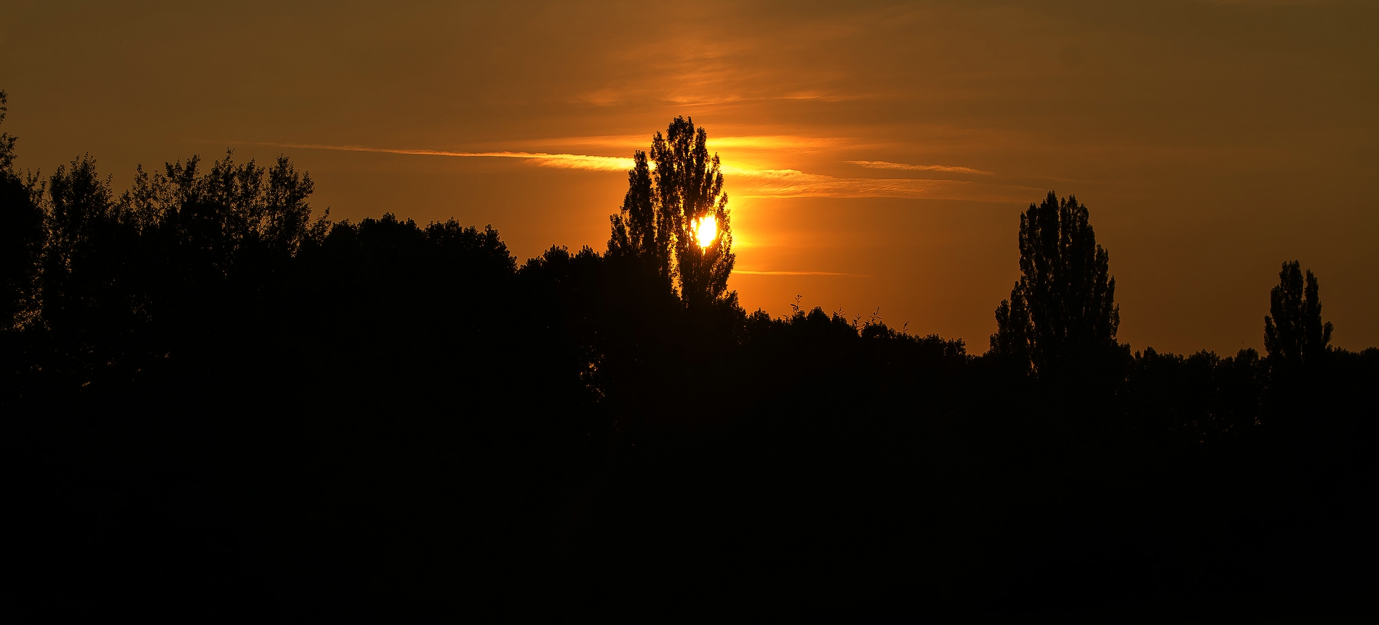 Spätsommerabend im Stadtpark - 1 - 