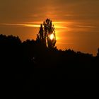 Spätsommerabend im Stadtpark - 1 - 