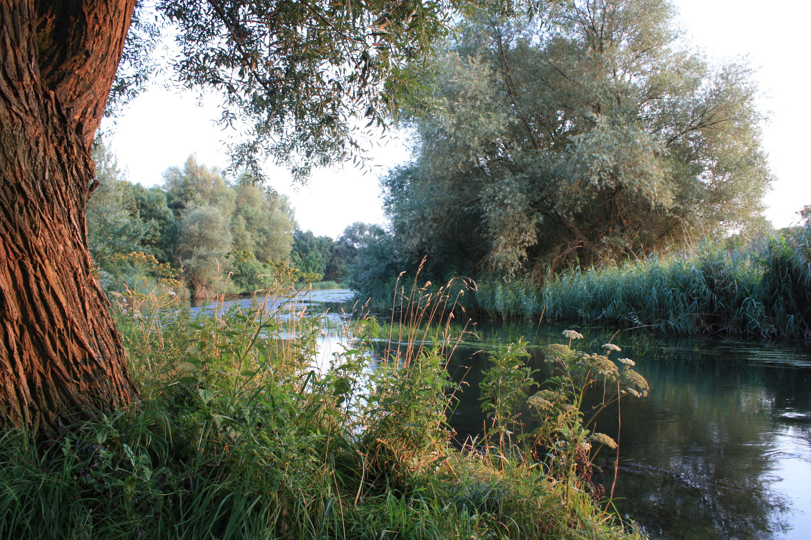 Spätsommerabend in Meinersen