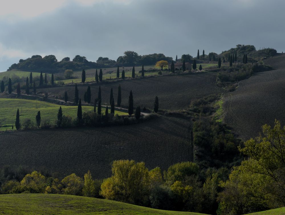 Spätsommerabendlicht - Toscana