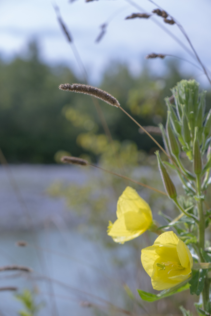 Spätsommergrüße!