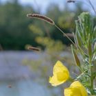 Spätsommergrüße!