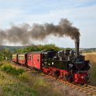 Spätsommergruß aus Quarmbeck (Selketalbahn)