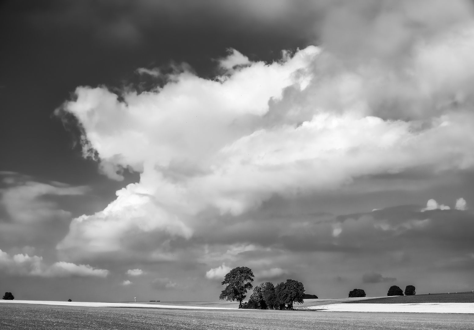 Spätsommerhimmel_sw