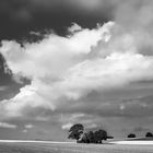 Spätsommerhimmel_sw