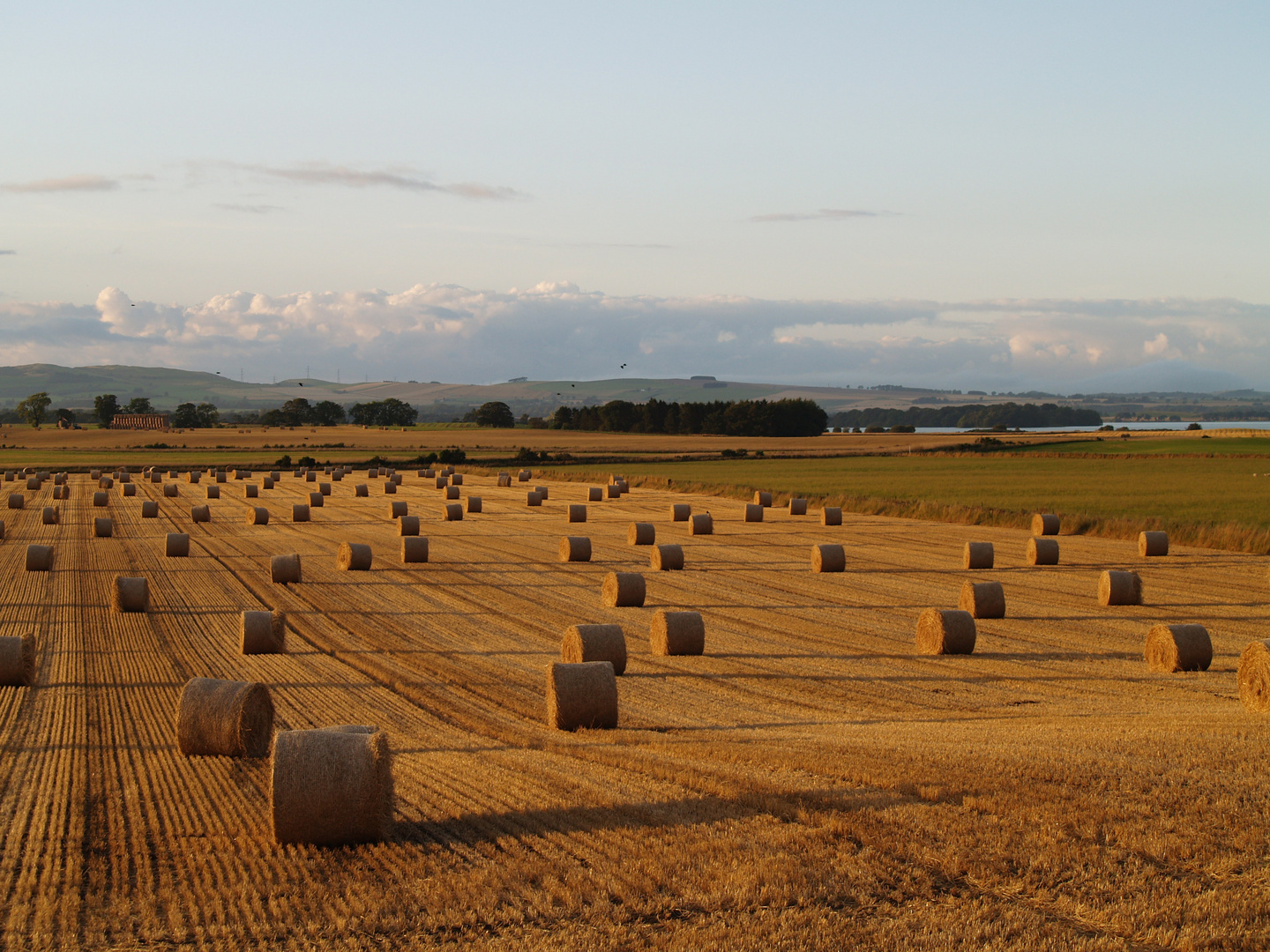 Spätsommeridyll am Loch Leven