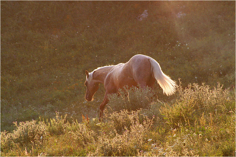 Spätsommerimpressionen