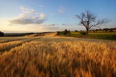 Spätsommerimpressionen