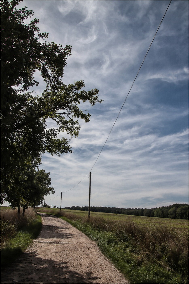 Spätsommerlandschaft 1