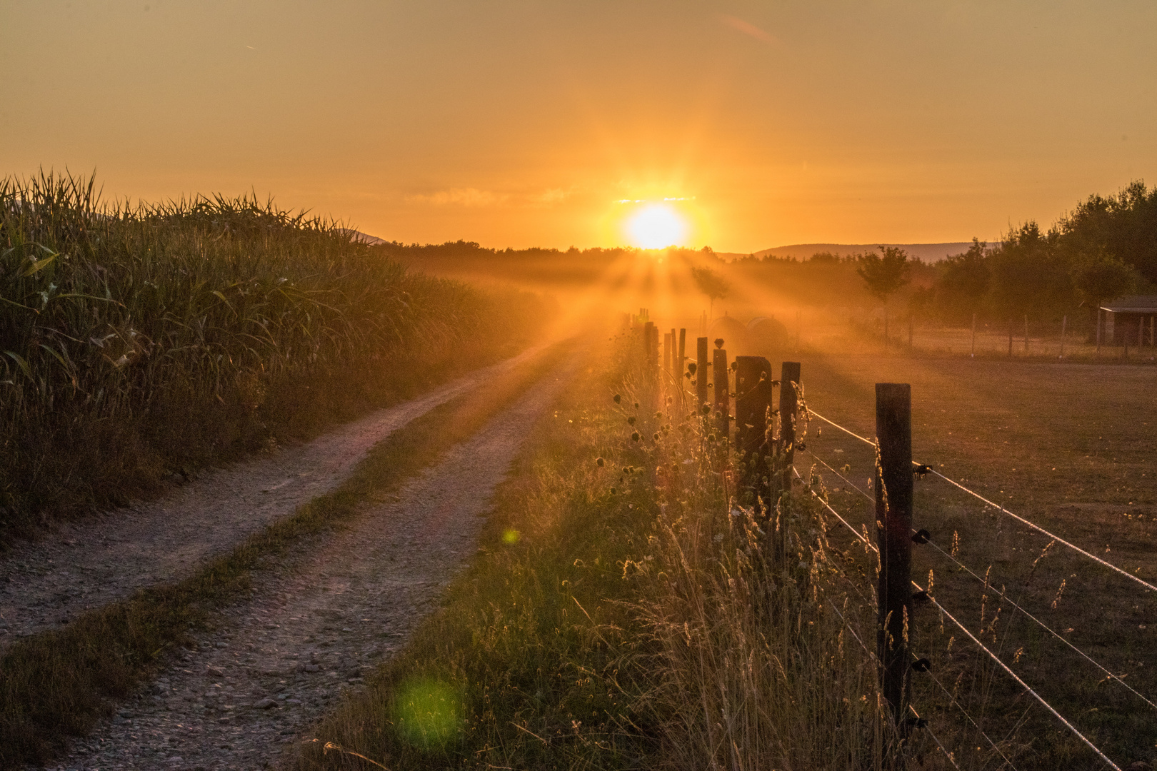 Spätsommerlandschaft