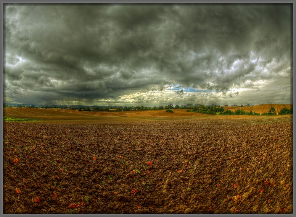 Spätsommerlandschaft