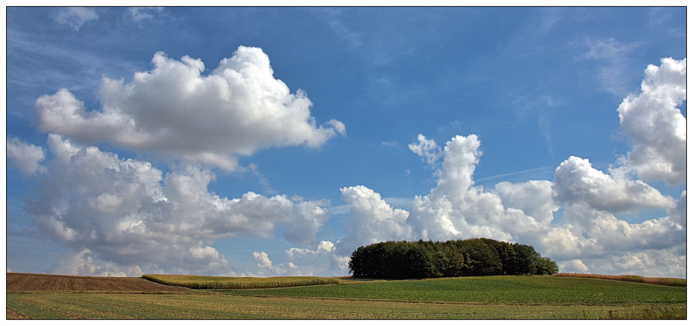 Spätsommerlandschaft