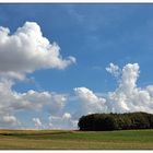 Spätsommerlandschaft