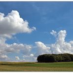 Spätsommerlandschaft