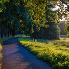 spätsommerlich