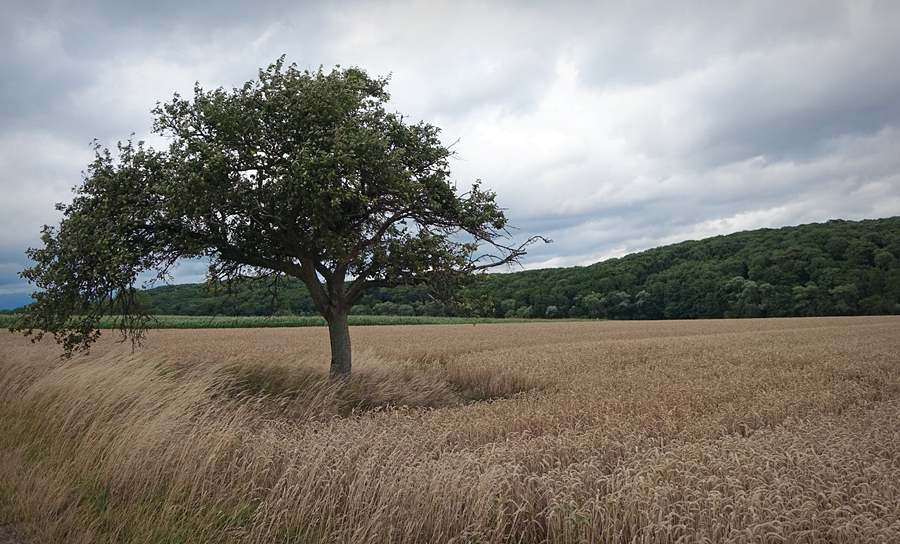 Spätsommerlich